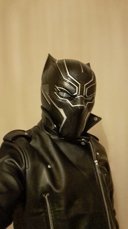 Black Panther Costume 8791 Print Poster