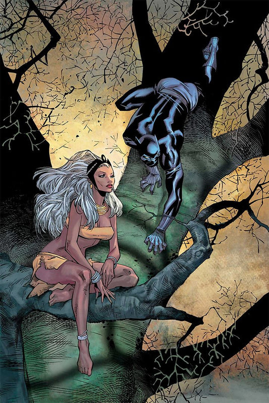 Black Panther And Storm Comic Book Art Print Decor Poster