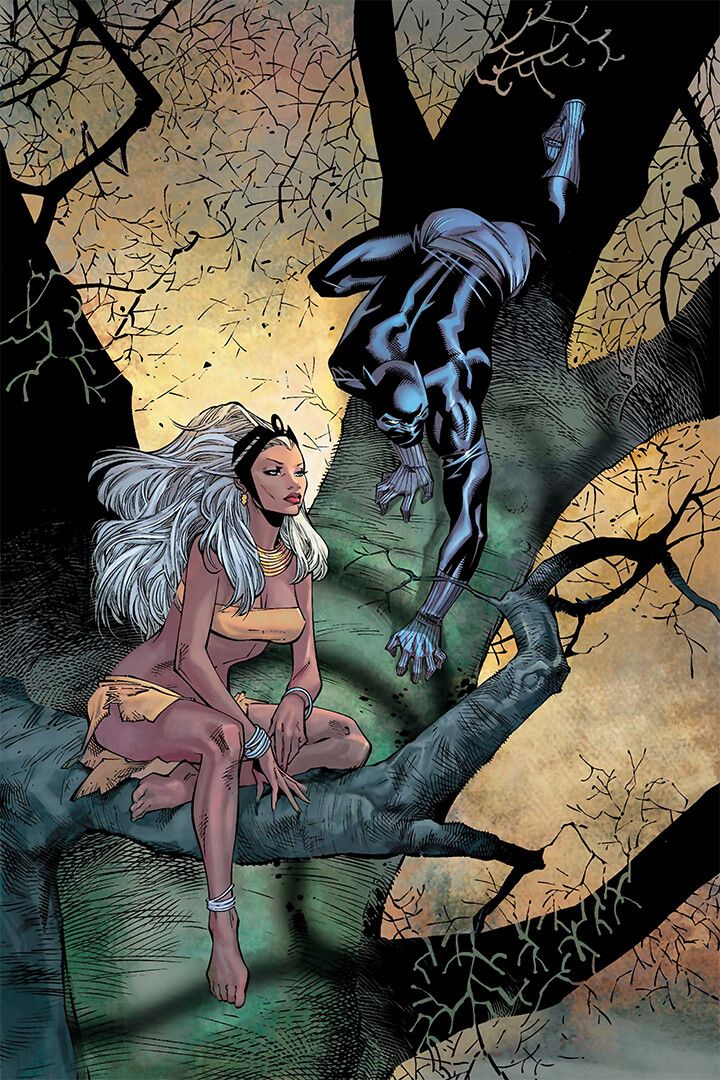 Black Panther And Storm Comic Book Art Print Decor Jigsaw Puzzle