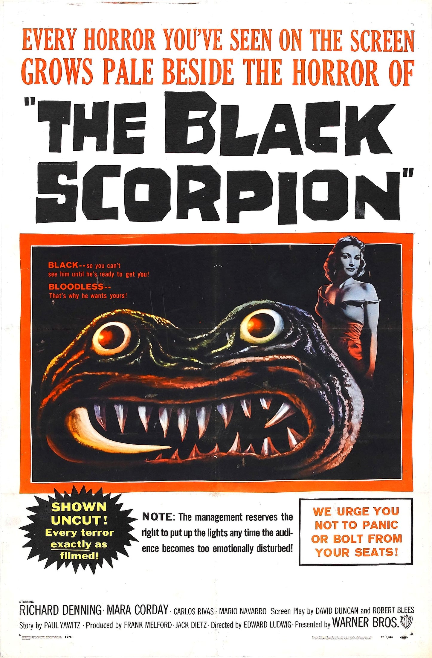 Black Scorpion 01 Movie Magnet