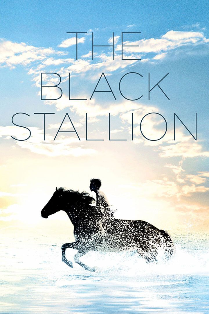 Black Stallion 1979 Movie Adventure Family Sport Print Wall Art Poster