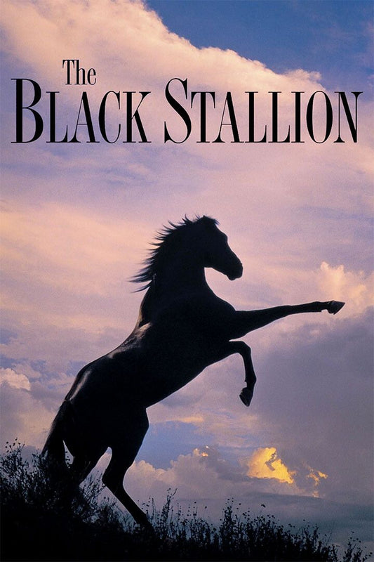 Black Stallion 1979 Movie Family Sport Adventure Print Jigsaw Puzzle
