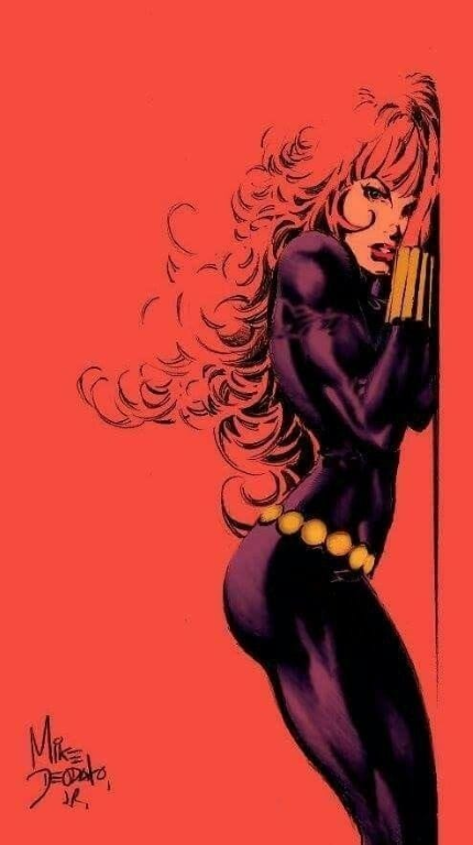 Black Widow 5738 Jigsaw Puzzle