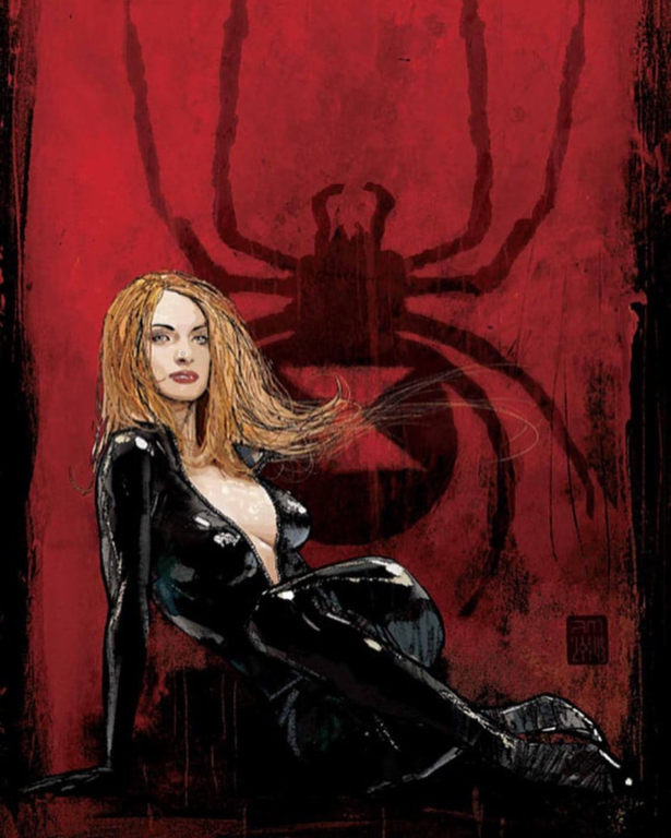 Black Widow Spider Background 972 Print Poster