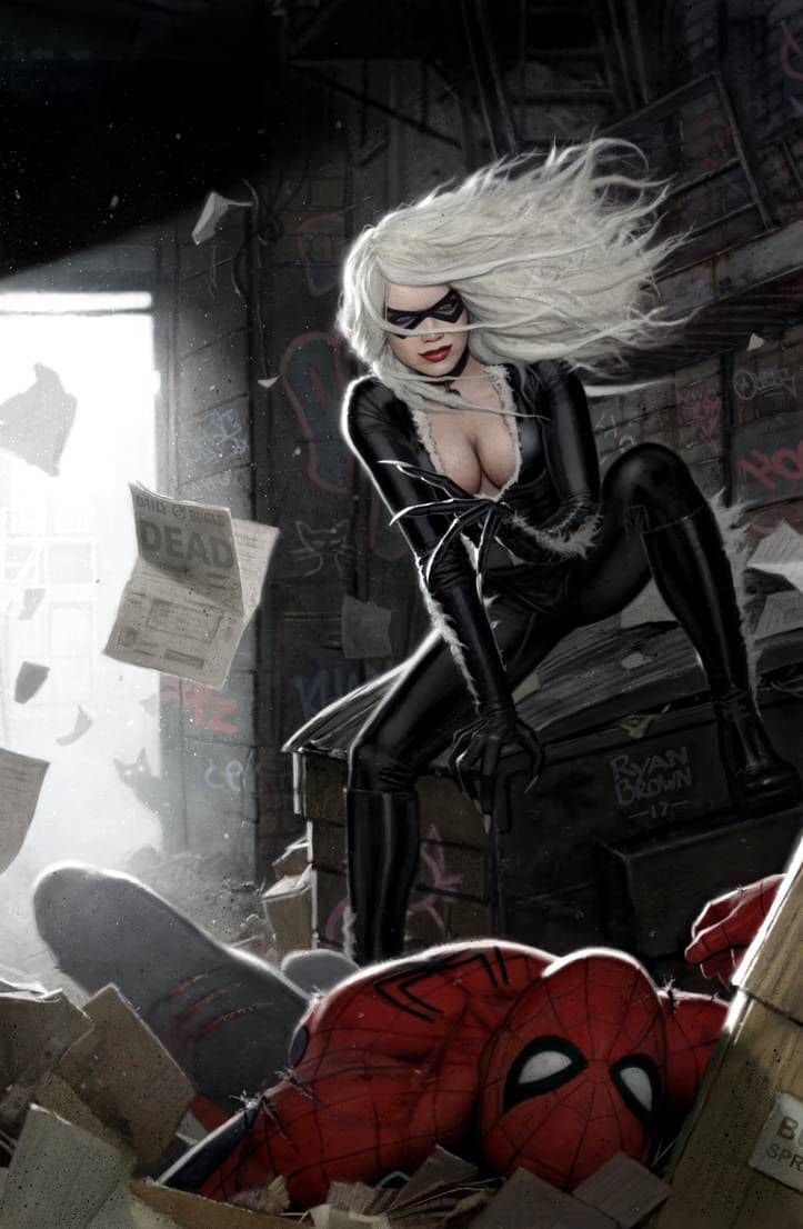 Blackcat Spiderman Confrontation Print Poster