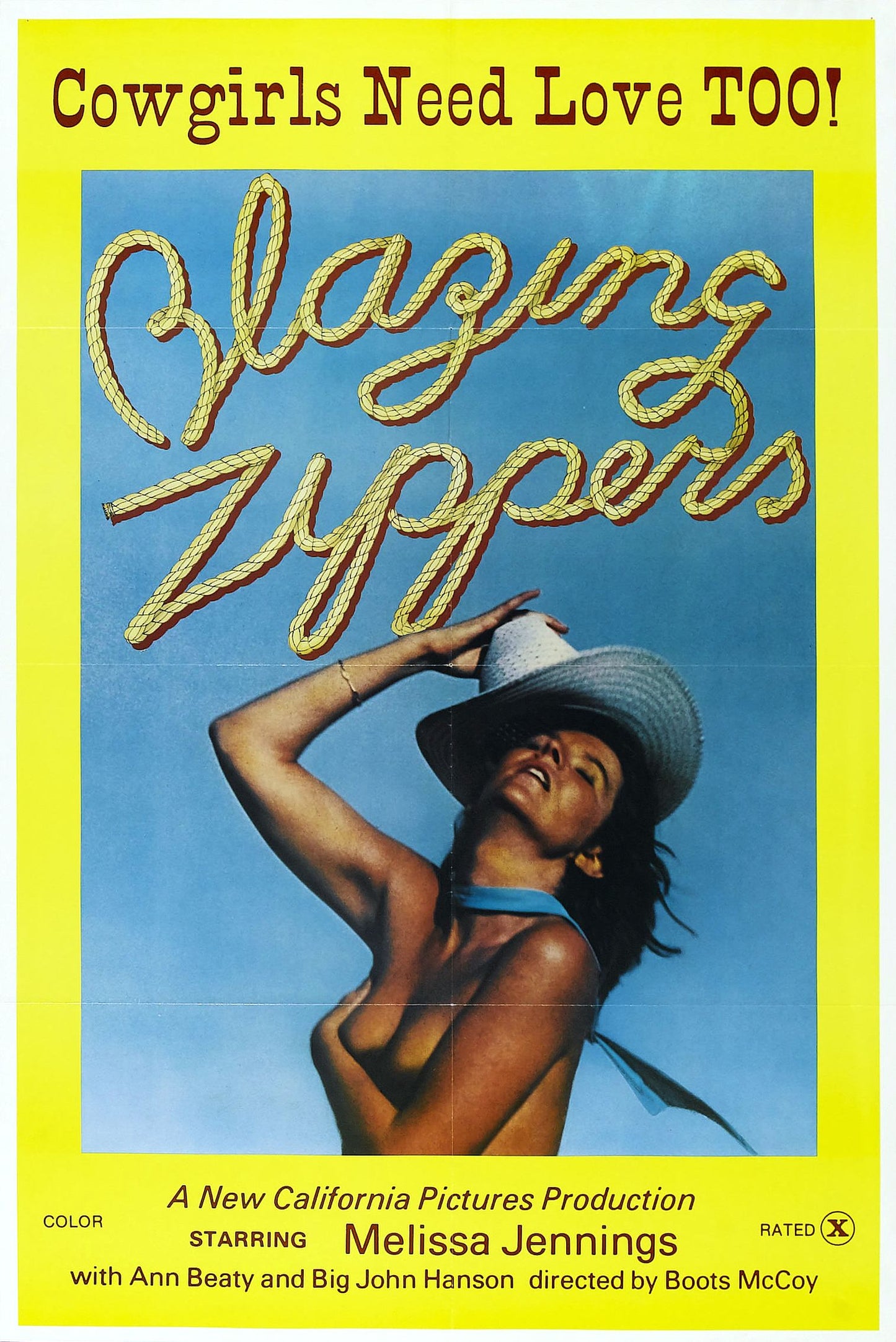 Blazing Zippers 01 Movie Magnet