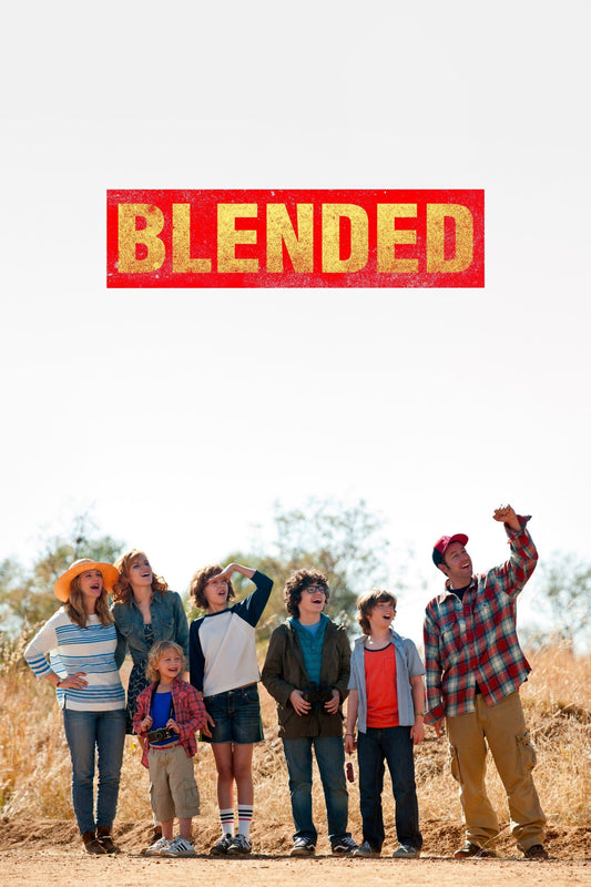 Blended (2014) Movie Magnet