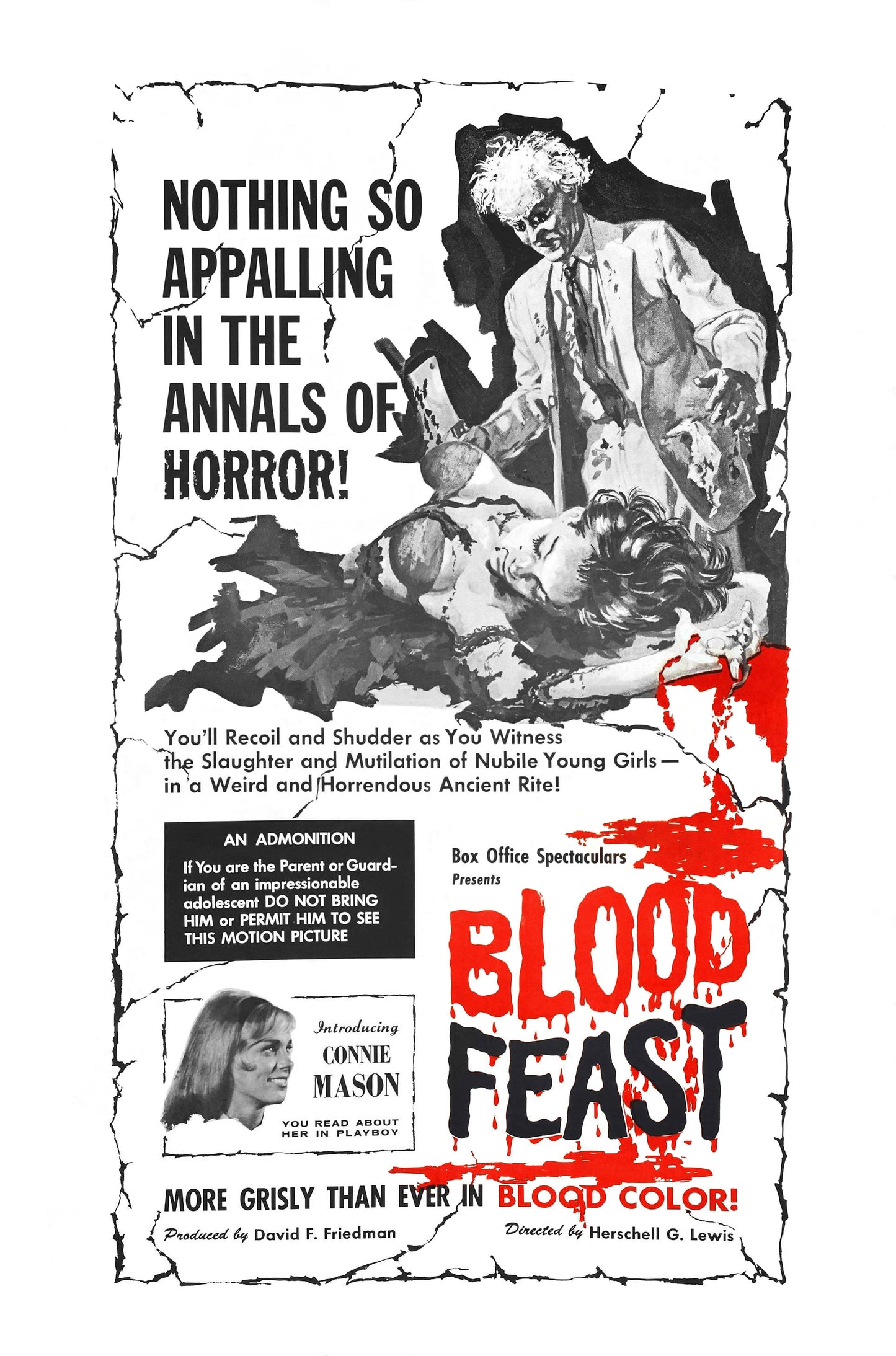 Blood Feast 01 Movie Magnet