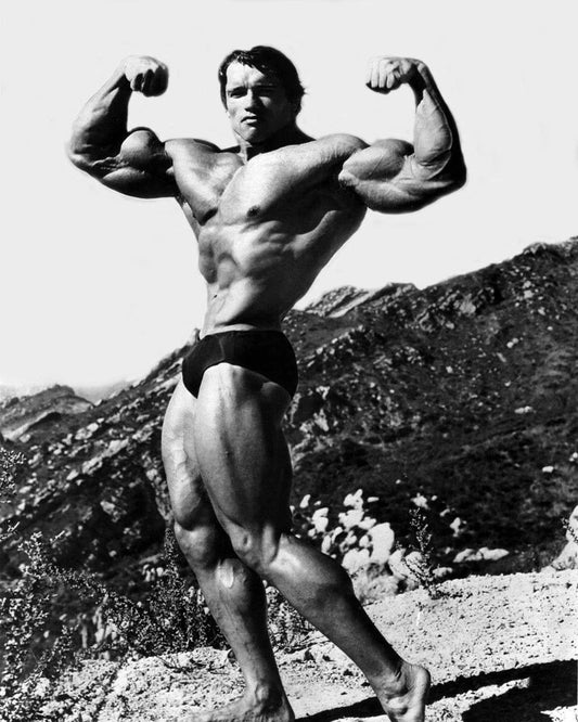 Bodybuilder, Actor Arnold Schwarzenegger Magnet Celebrity Magnet 1