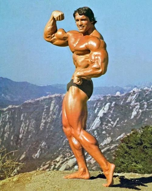 Bodybuilder, Actor Arnold Schwarzenegger Keychain Celebrity Keychain 3