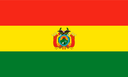 Bolivia Flag Keychain