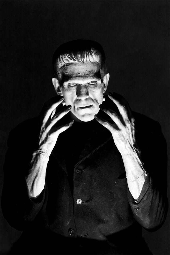 Boris Karloff In Frankenstein Print Jigsaw Puzzle