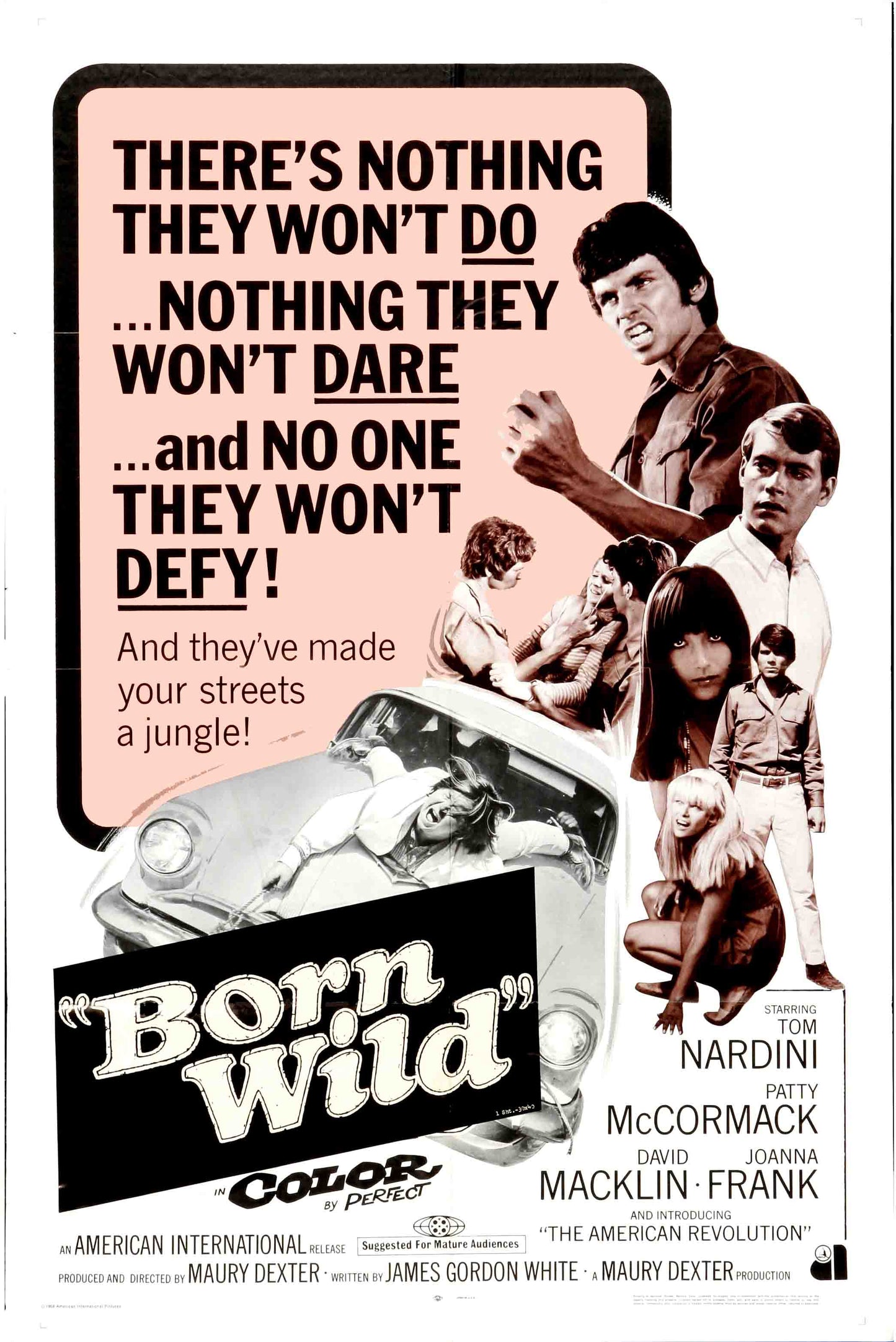 Born Wild 1968 01 Movie Magnet