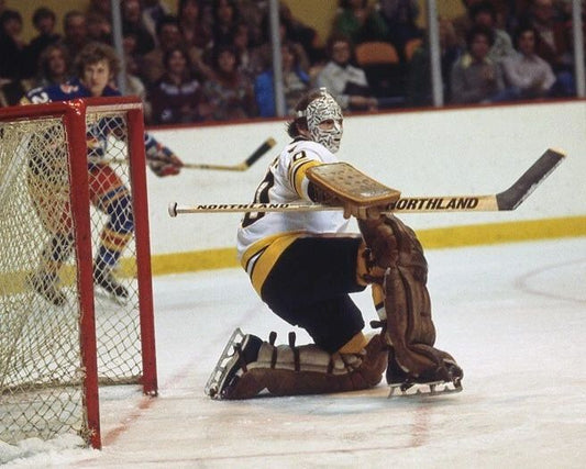 Boston Bruins Gerry Cheevers Glossy Magnet Print Hockey Magnet Hof 85