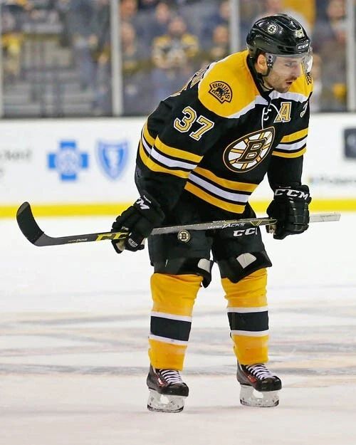 Boston Bruins Patrice Bergeron Glossy Photo Hockey Print Poster