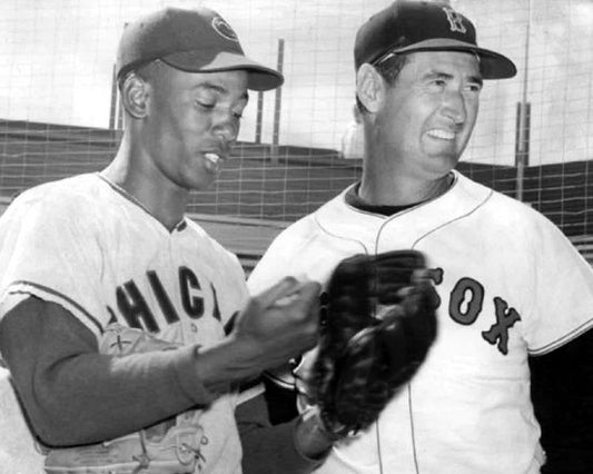 Boston Red Sox Ted Williams And Chicago Cubs Ernie Banks Glossy Magnet Print