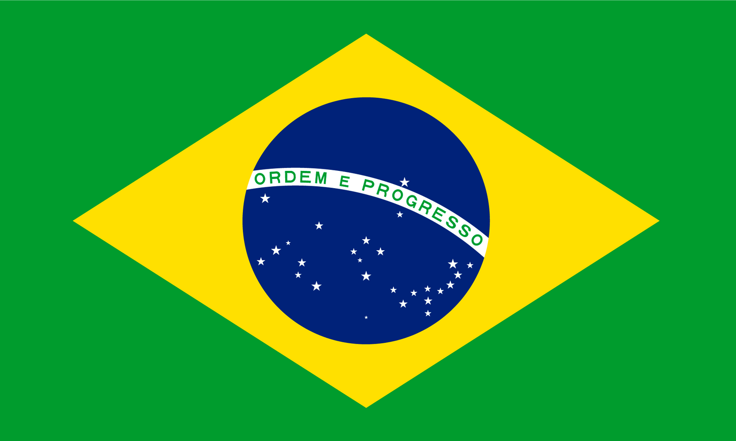 Brazil Flag Print Poster