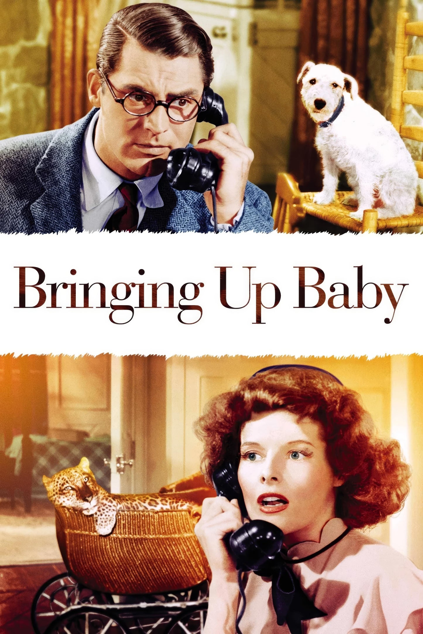 Bringing Up Baby (1938) Movie Magnet