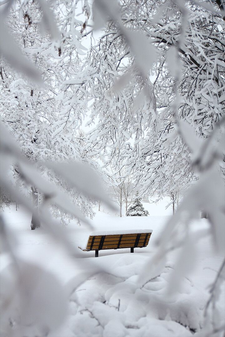 Brown Outdoor Bench In Snowy Park Art Wall Decor Keychain