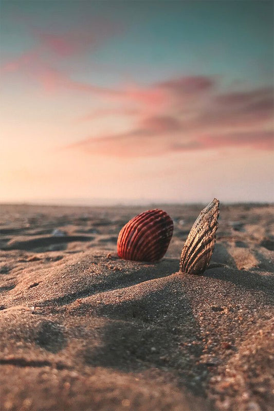 Brown Sea Shells On Brown Sand Art Wall Decor Jigsaw Puzzle