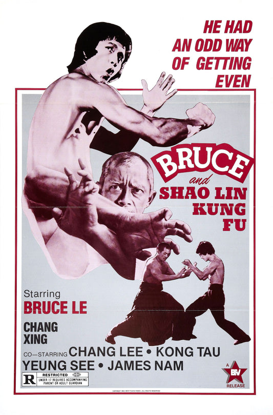 Bruce And Shao Lin Kung Fu 01 Movie Magnet
