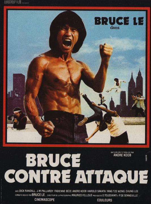 Bruce Le Fights Back 01 Movie Magnet
