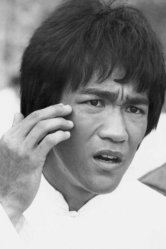 Bruce Lee Movie Actor Fighter Print Painting Jigsaw Puzzle