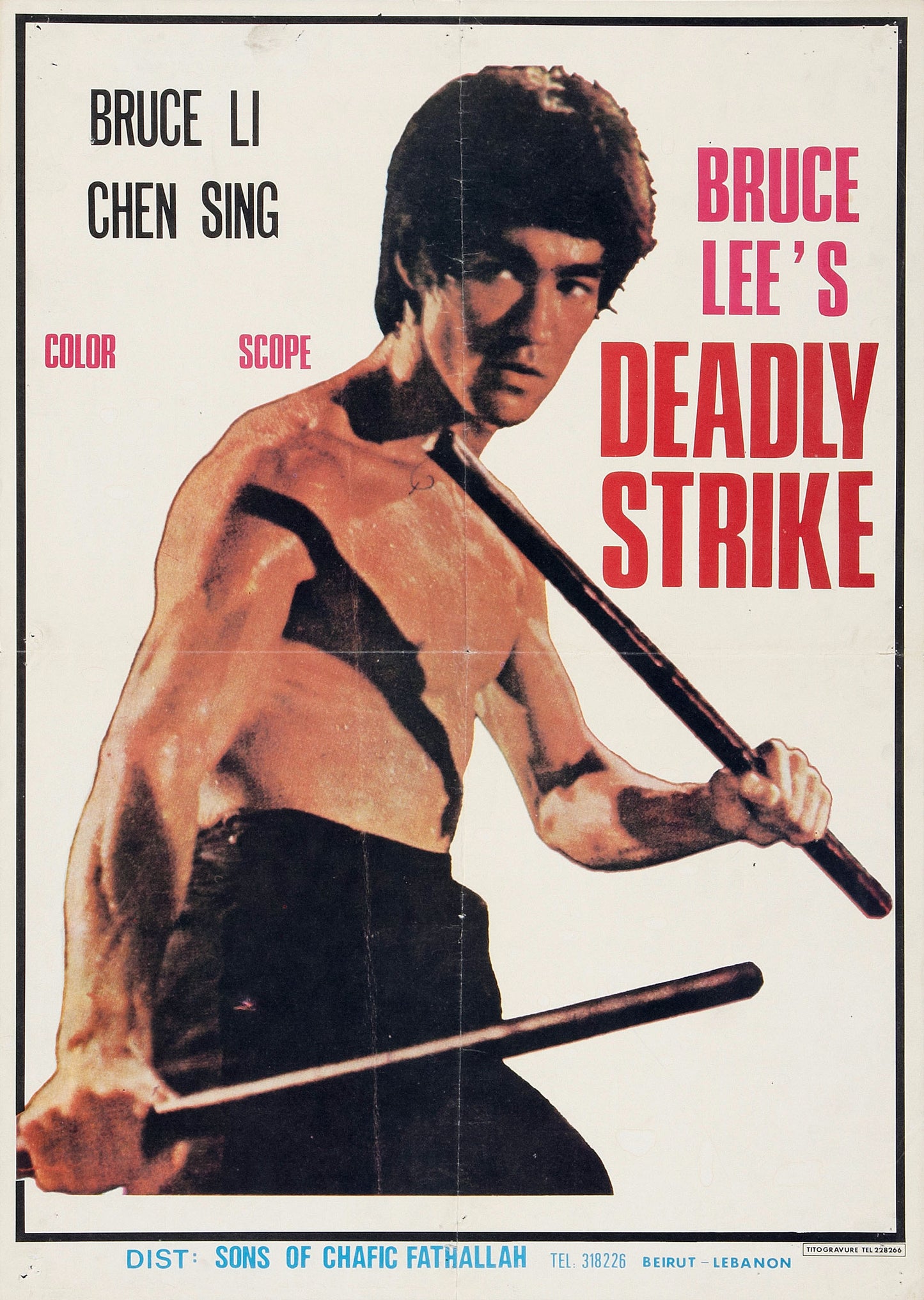 Bruce Lees Deadly Strike 01 Movie Magnet