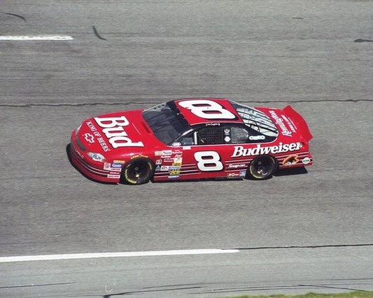 Budweiser Chevrolet Dale Earnhardt Jr Glossy Magnet Nascar Print 1