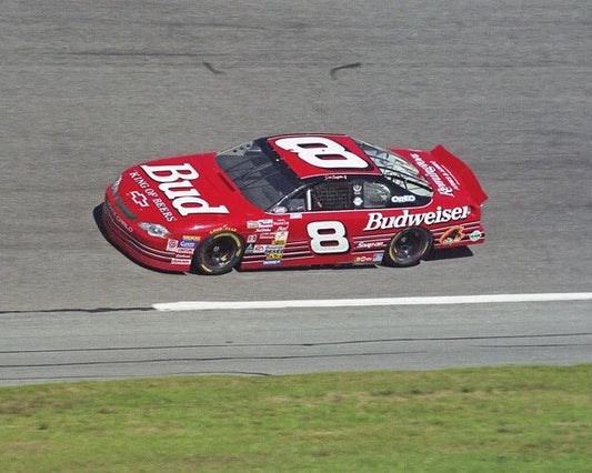 Budweiser Chevrolet Dale Earnhardt Jr Glossy Magnet Nascar Print 2