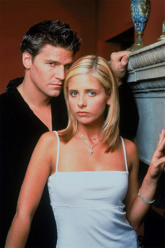 Buffy The Vampire Tv Series Sarah Gellar Decor Wall Art Print Poster