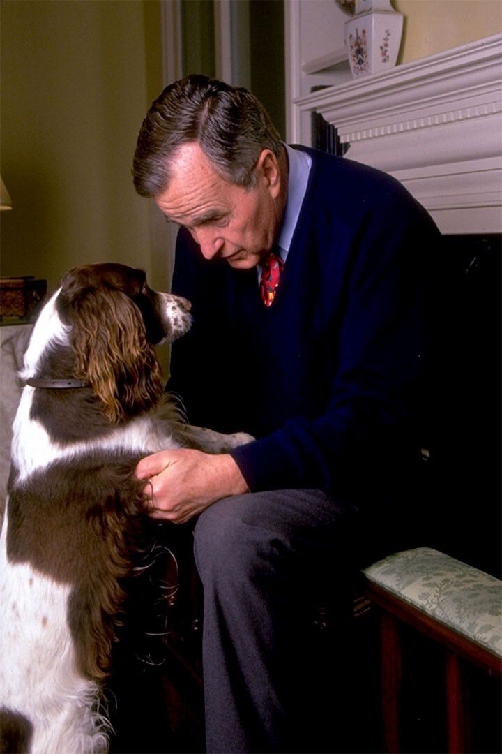 Bush With Dog President Print Painting Wall Art Home Decor Poster