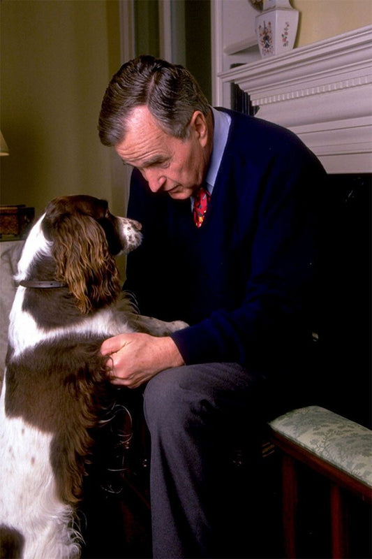 Bush With Dog President Print Painting Jigsaw Puzzle