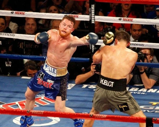 Canelo Alvarez Vs Gennady Golovkin Photo Boxing Picture