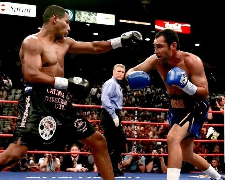 Carlos Mayorga V Oscar De La Hoya Photo Boxing Picture