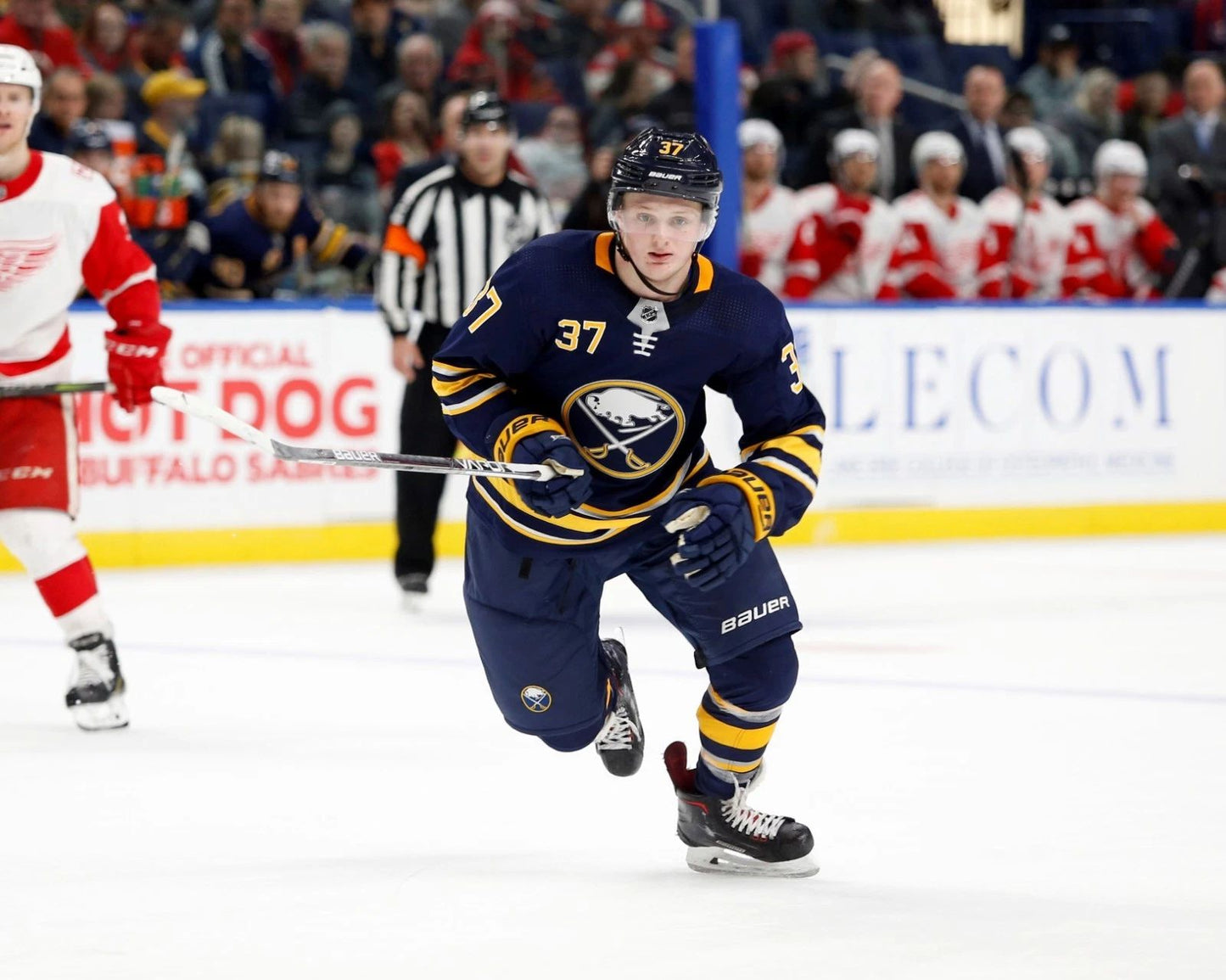 Casey Mittelstadt Magnet Hockey Buffalo Sabres Picture Nhl Vs Red Wings