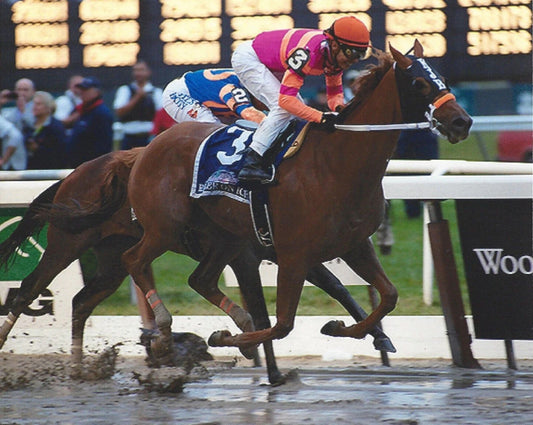 Catching Freedom Photo Horse Racing Picture