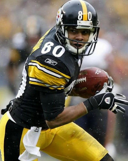 Cedrick Wilson Magnet Pittsburgh Steelers Picture Nfl Football