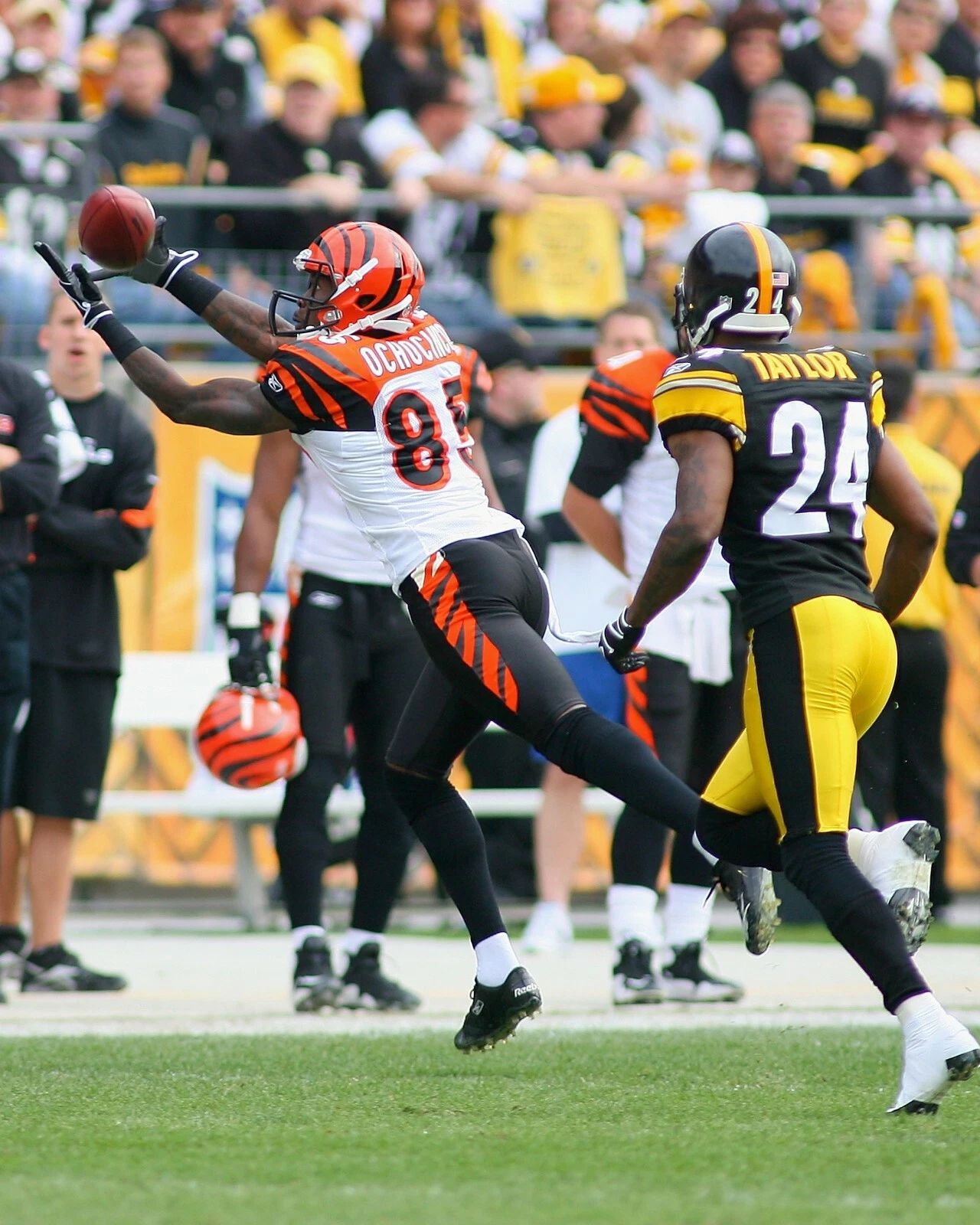 Chad Ochocinco Johnson Magnet Cincinnati Bengals Picture Nfl Football
