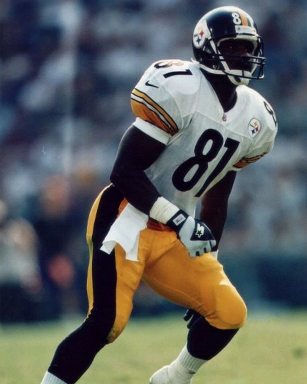 Charles Johnson Photo Pittsburgh Steelers Picture Nfl Football