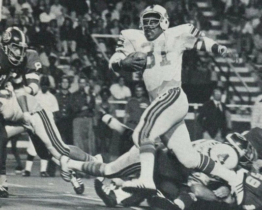 Charley Harraway Keychain Birmingham Americans Picture Wfl Football Action