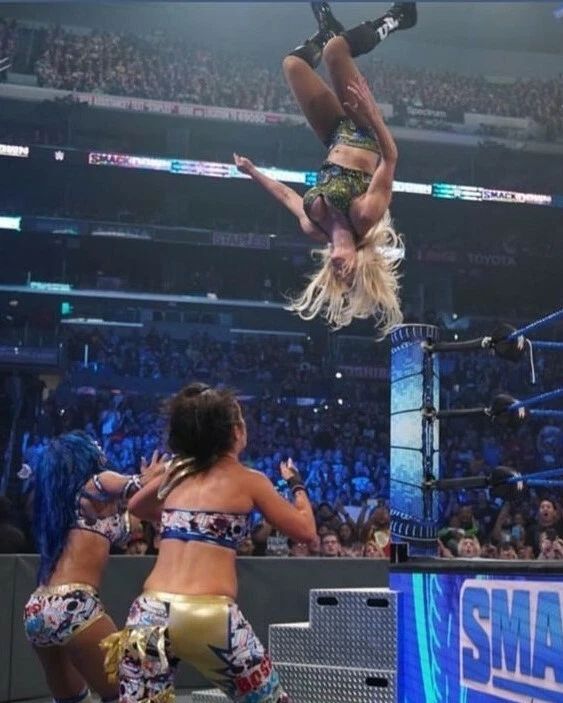 Charlotte Flair Magnet Wrestling Picture Wwe