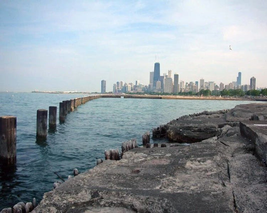 Chicago Skyline Along Lake Michigan Glossy Photo Sears Tower Print Poster