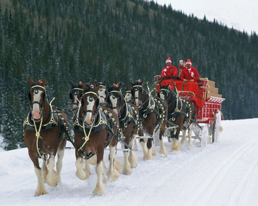Christmas Clydesdales Keychain Horse Wagon Picture