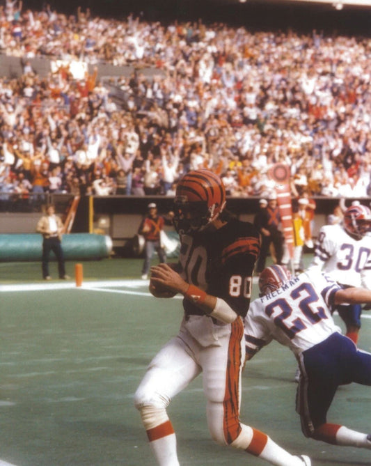 Chris Collinsworth Magnet Cincinnati Bengals Picture Nfl Football