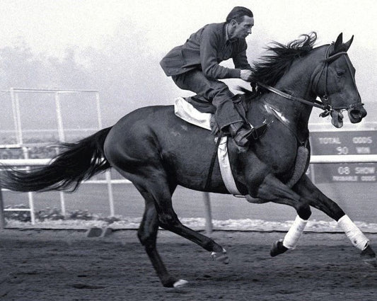 Citation Magnet Horse Racing Picture Jockey