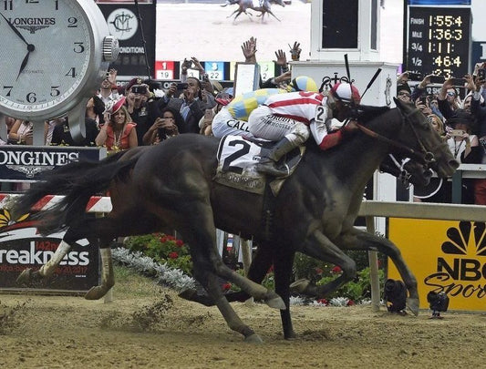 Cloud Computing Photo Horse Racing Picture Jockey