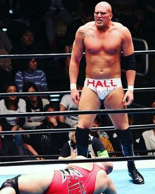 Cody Hall Photo Wrestling Picture Njpw 300 Piece Jigsaw Puzzle