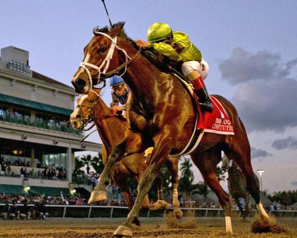 Constitution Magnet Horse Racing Picture Race Action