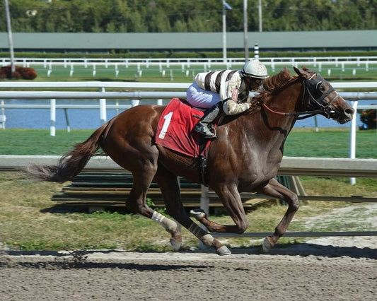 Country House Magnet Horse Racing Picture Action